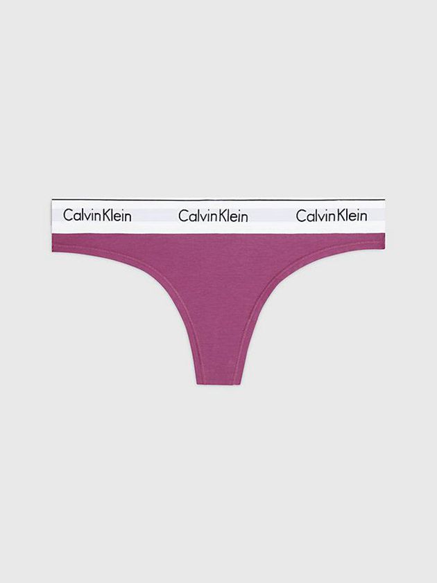 Calvin Klein USA Modern Cotton Womens Thong Purple 2107483-IV